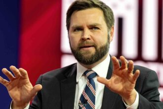 Plusieurs pays demandent à JD Vance de ne toucher à rien